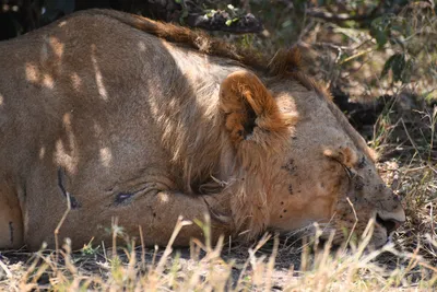 DSC_3547 (Large).JPG